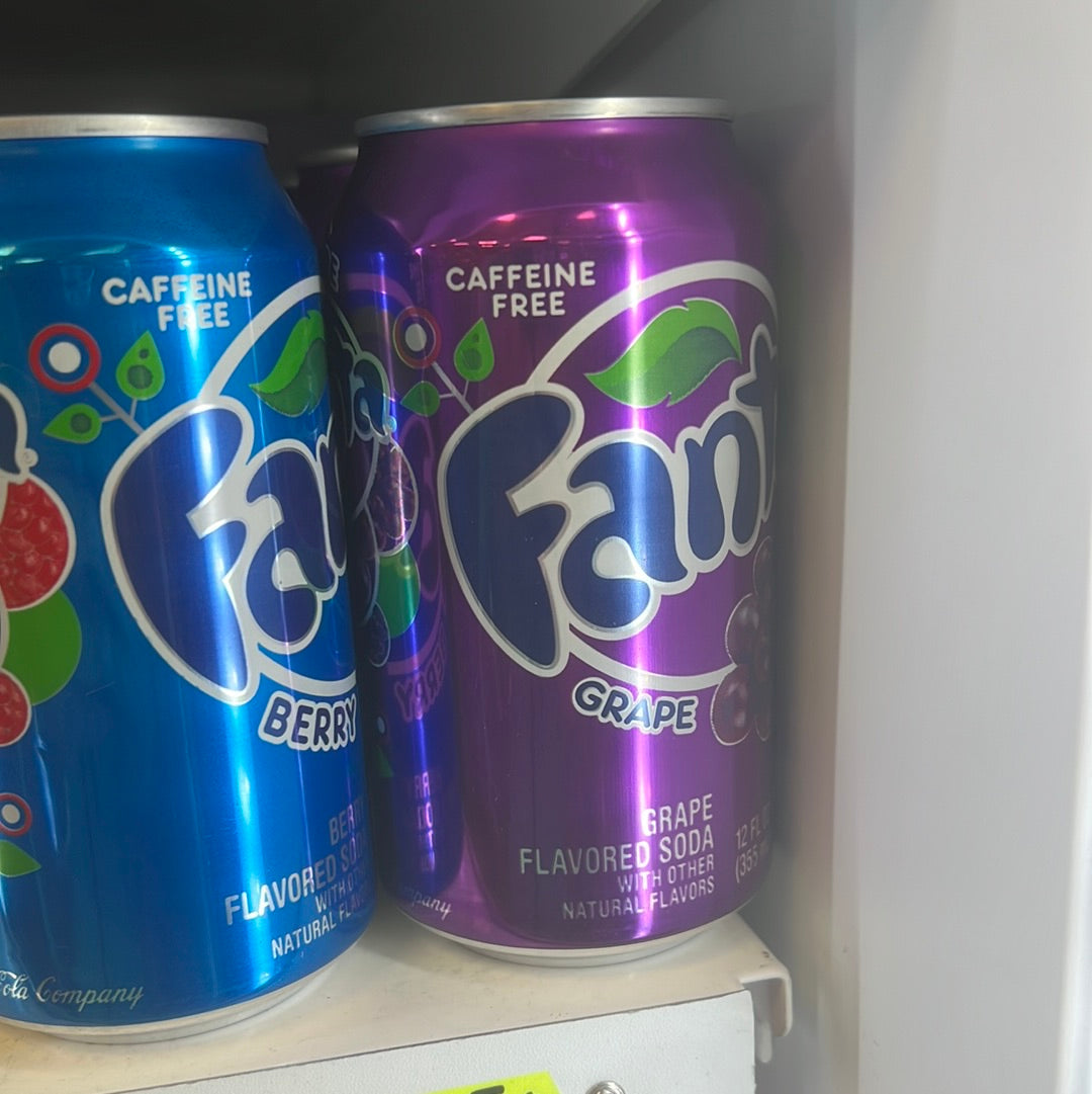 FANTA USA GRAPE 🍇 — TRAUBE 355ML
Fanta